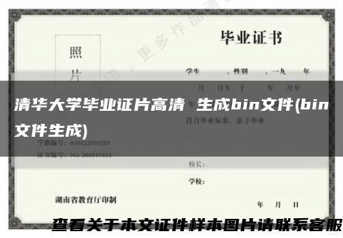 清华大学毕业证片高清 生成bin文件(bin文件生成)缩略图