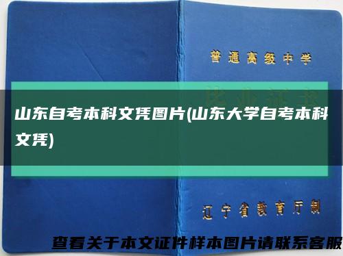 山东自考本科文凭图片(山东大学自考本科文凭)缩略图