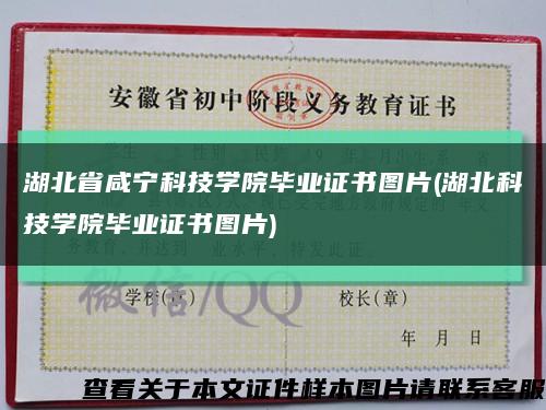 湖北省咸宁科技学院毕业证书图片(湖北科技学院毕业证书图片)缩略图