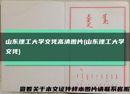 山东理工大学文凭高清图片(山东理工大学文凭)缩略图