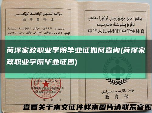 菏泽家政职业学院毕业证如何查询(菏泽家政职业学院毕业证图)缩略图