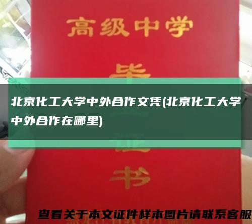 北京化工大学中外合作文凭(北京化工大学中外合作在哪里)缩略图