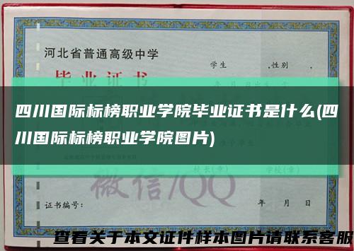 四川国际标榜职业学院毕业证书是什么(四川国际标榜职业学院图片)缩略图