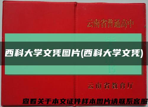 西科大学文凭图片(西科大学文凭)缩略图