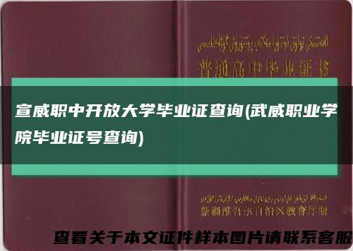 宣威职中开放大学毕业证查询(武威职业学院毕业证号查询)缩略图