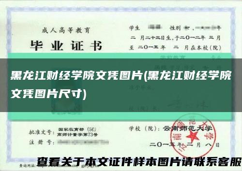 黑龙江财经学院文凭图片(黑龙江财经学院文凭图片尺寸)缩略图