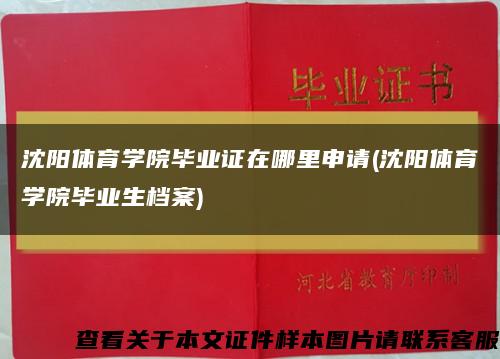 沈阳体育学院毕业证在哪里申请(沈阳体育学院毕业生档案)缩略图