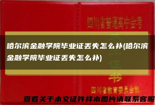 哈尔滨金融学院毕业证丢失怎么补(哈尔滨金融学院毕业证丢失怎么补)缩略图