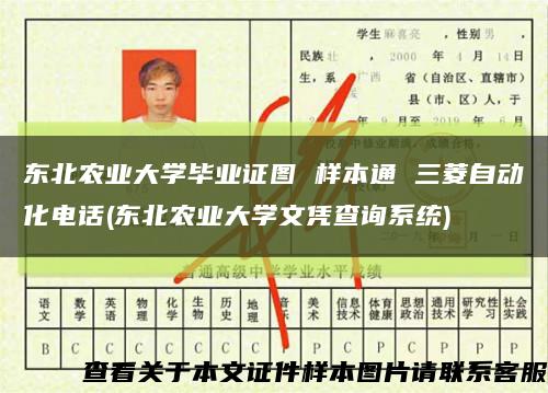 东北农业大学毕业证图 样本通 三菱自动化电话(东北农业大学文凭查询系统)缩略图