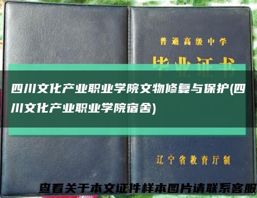 四川文化产业职业学院文物修复与保护(四川文化产业职业学院宿舍)缩略图