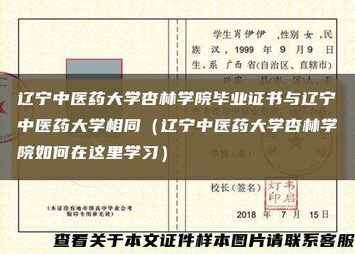 辽宁中医药大学杏林学院毕业证书与辽宁中医药大学相同（辽宁中医药大学杏林学院如何在这里学习）缩略图