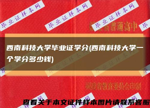 西南科技大学毕业证学分(西南科技大学一个学分多少钱)缩略图