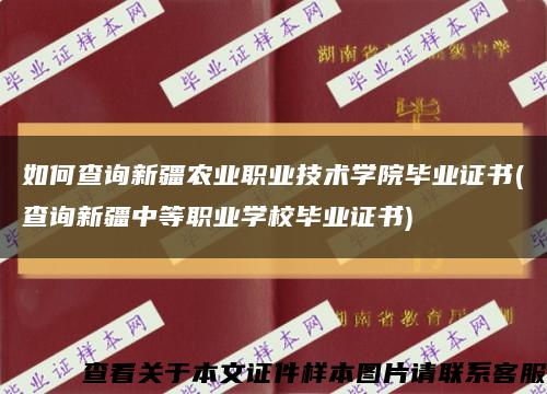 如何查询新疆农业职业技术学院毕业证书(查询新疆中等职业学校毕业证书)缩略图