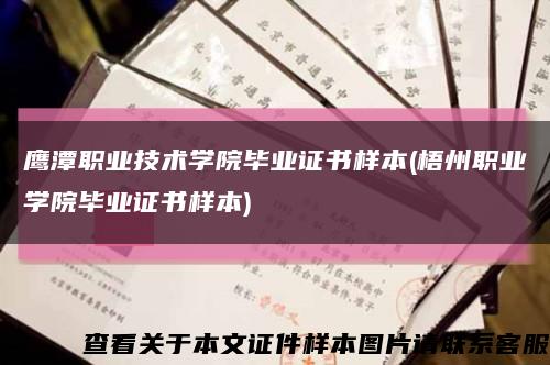 鹰潭职业技术学院毕业证书样本(梧州职业学院毕业证书样本)缩略图