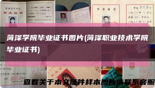 菏泽学院毕业证书图片(菏泽职业技术学院毕业证书)缩略图