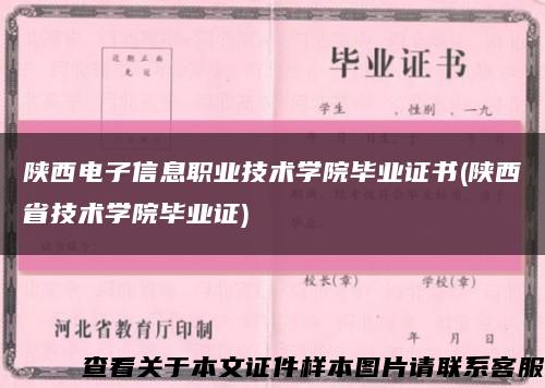 陕西电子信息职业技术学院毕业证书(陕西省技术学院毕业证)缩略图