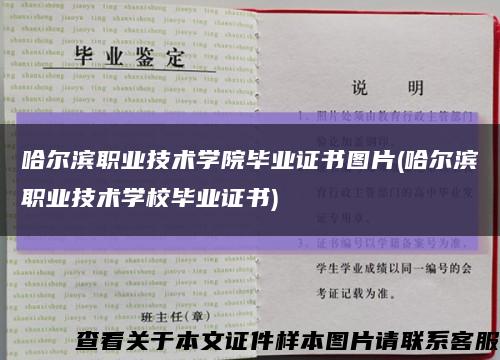 哈尔滨职业技术学院毕业证书图片(哈尔滨职业技术学校毕业证书)缩略图