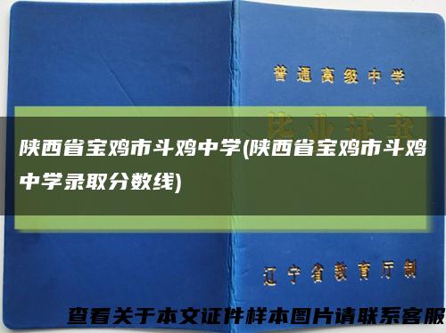 陕西省宝鸡市斗鸡中学(陕西省宝鸡市斗鸡中学录取分数线)缩略图