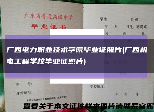 广西电力职业技术学院毕业证照片(广西机电工程学校毕业证照片)缩略图