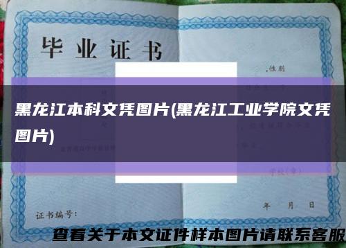 黑龙江本科文凭图片(黑龙江工业学院文凭图片)缩略图