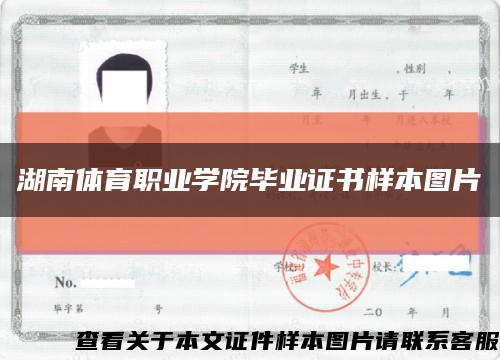 湖南体育职业学院毕业证书样本图片缩略图