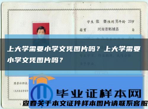 上大学需要小学文凭图片吗？上大学需要小学文凭图片吗？缩略图