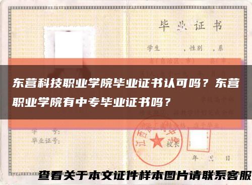 东营科技职业学院毕业证书认可吗？东营职业学院有中专毕业证书吗？缩略图