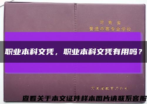 职业本科文凭，职业本科文凭有用吗？缩略图