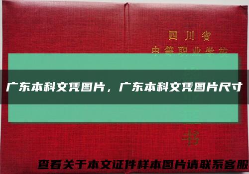 广东本科文凭图片，广东本科文凭图片尺寸缩略图