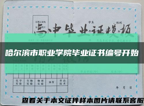 哈尔滨市职业学院毕业证书编号开始缩略图