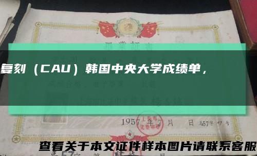 复刻（CAU）韩国中央大学成绩单，중앙대학교 성적증명서缩略图