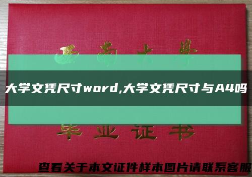 大学文凭尺寸word,大学文凭尺寸与A4吗缩略图