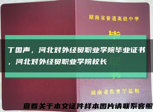 丁国声，河北对外经贸职业学院毕业证书，河北对外经贸职业学院校长缩略图