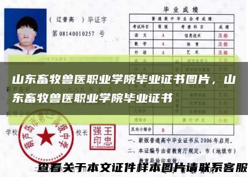 山东畜牧兽医职业学院毕业证书图片，山东畜牧兽医职业学院毕业证书缩略图