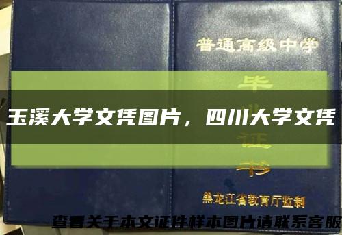 玉溪大学文凭图片，四川大学文凭缩略图