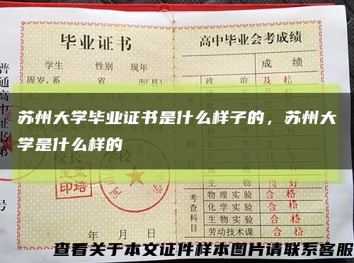 苏州大学毕业证书是什么样子的，苏州大学是什么样的缩略图