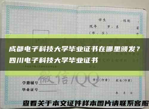 成都电子科技大学毕业证书在哪里颁发？四川电子科技大学毕业证书缩略图