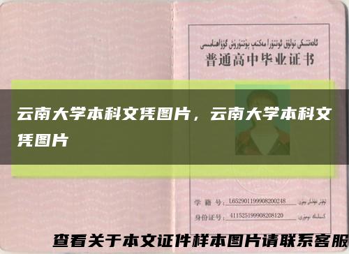 云南大学本科文凭图片，云南大学本科文凭图片缩略图