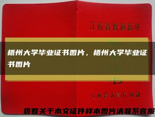 梧州大学毕业证书图片，梧州大学毕业证书图片缩略图