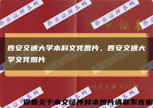 西安交通大学本科文凭图片，西安交通大学文凭照片缩略图