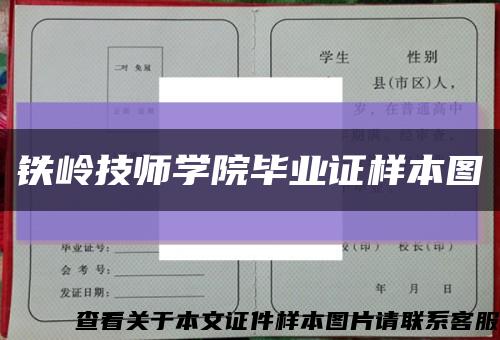 铁岭技师学院毕业证样本图缩略图