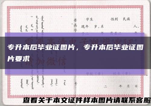 专升本后毕业证图片，专升本后毕业证图片要求缩略图