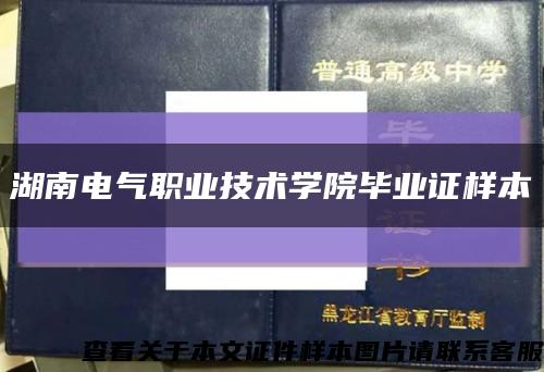 湖南电气职业技术学院毕业证样本缩略图