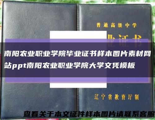 南阳农业职业学院毕业证书样本图片素材网站ppt南阳农业职业学院大学文凭模板缩略图