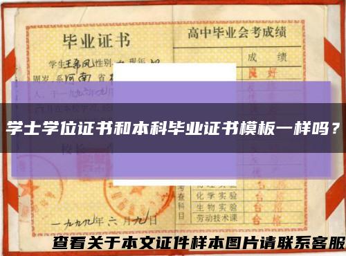 学士学位证书和本科毕业证书模板一样吗？缩略图