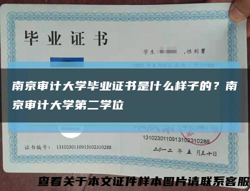 南京审计大学毕业证书是什么样子的？南京审计大学第二学位缩略图