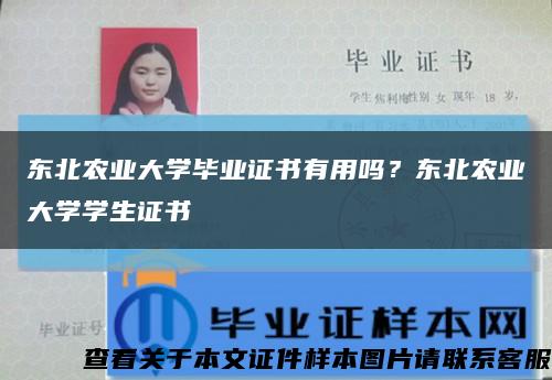 东北农业大学毕业证书有用吗？东北农业大学学生证书缩略图