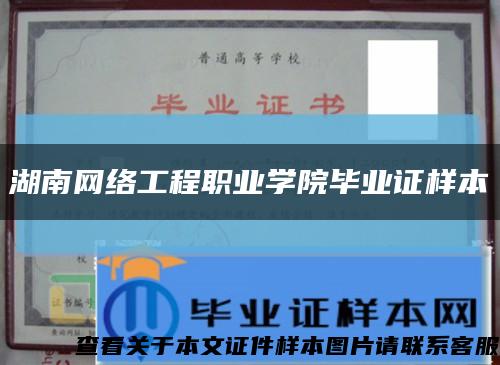 湖南网络工程职业学院毕业证样本缩略图