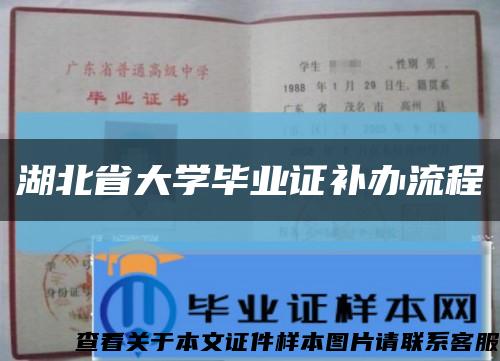 湖北省大学毕业证补办流程缩略图