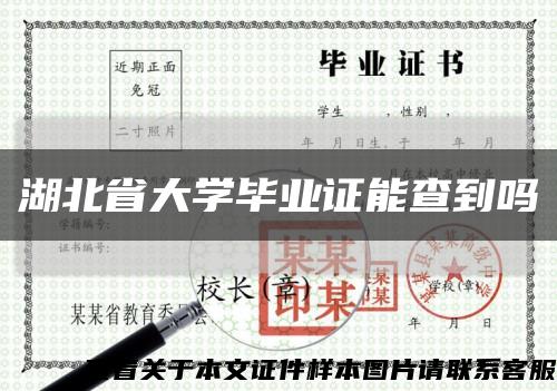 湖北省大学毕业证能查到吗缩略图